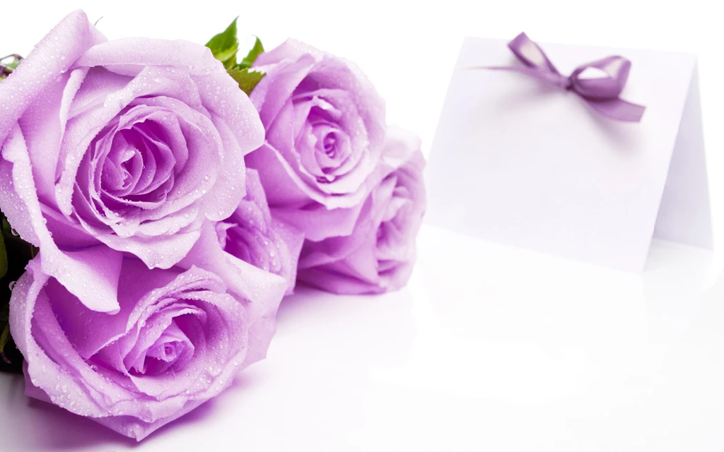 Beautiful_Soft_Purple_Roses_on_White_Background_Wallpaper.jpg?m=1399676400