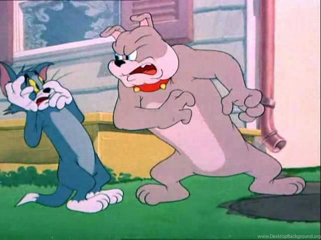 Tom And Jerry Cartoon HD Backgrounds For iPad Air 2 Cartoons ...