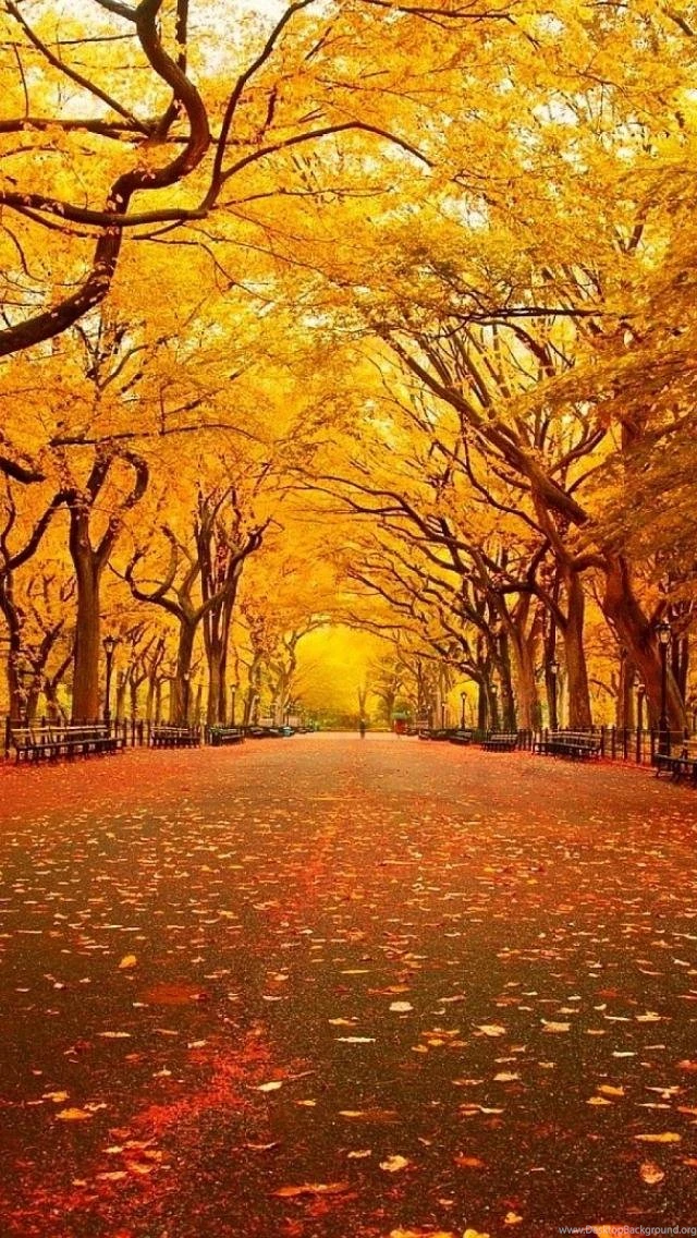 Fall Scenes Wallpapers