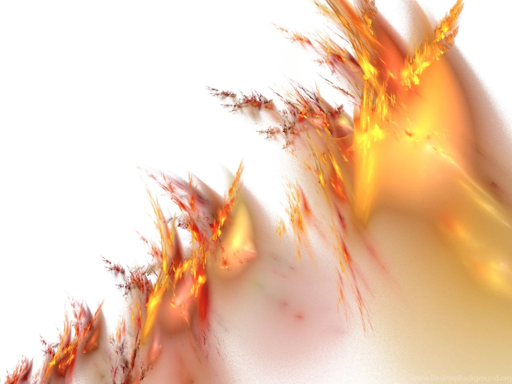 White Backgrounds