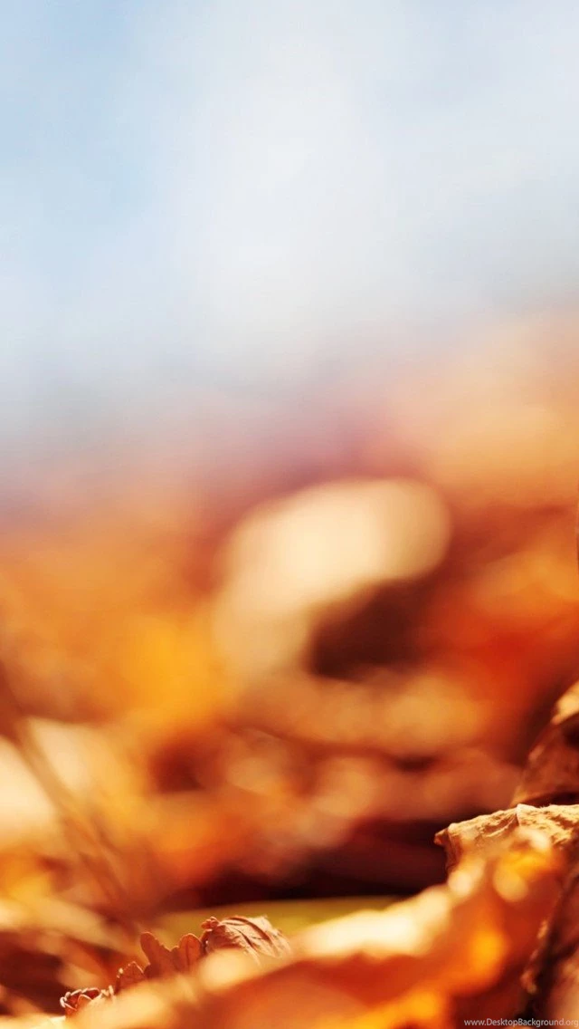 The Best Fall Or Autumn Themed Wallpapers For iPhone 5s