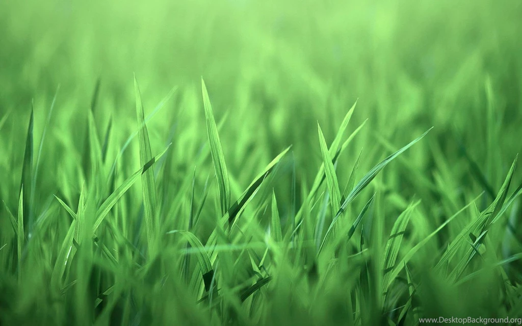 Grass Wallpapers