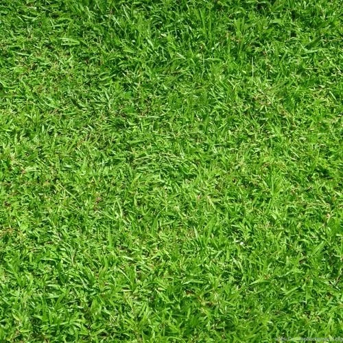 Green, Green Grass 1024x1024 Wallpapers Download Desktop ...