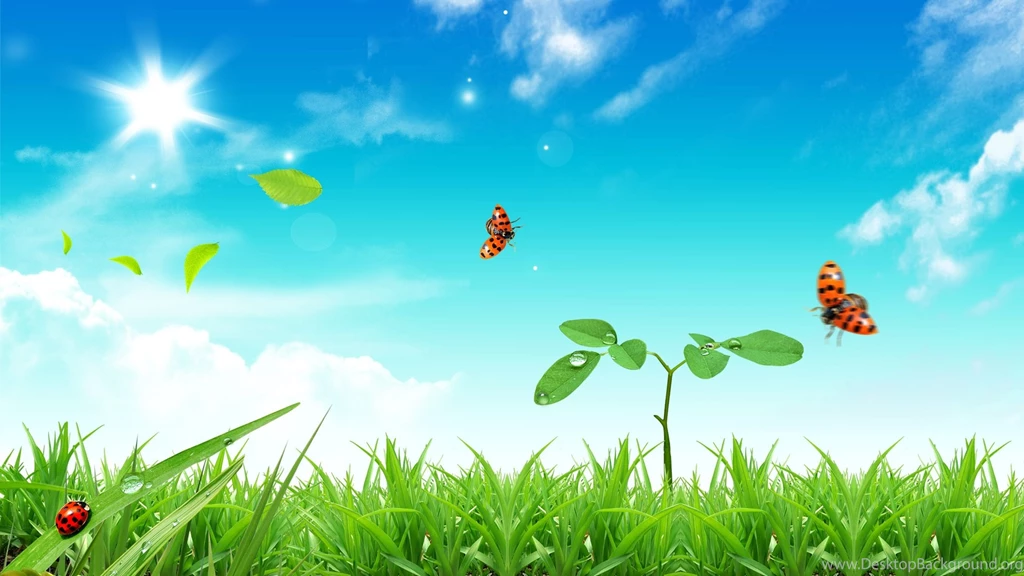 Green Grass Bright Day Free Windows Desktop Wallpapers