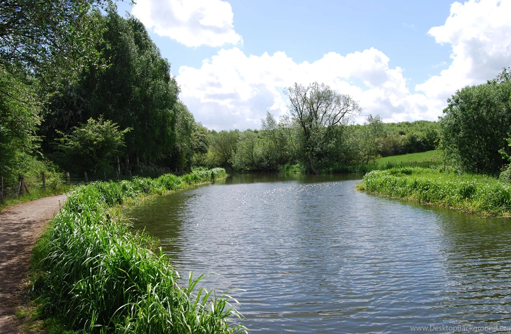 River Backgrounds Image 1174, Size: 3861x2527