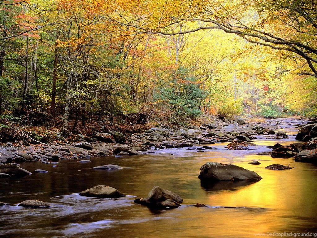 RePin Image: Animated River Backgrounds On Pinterest