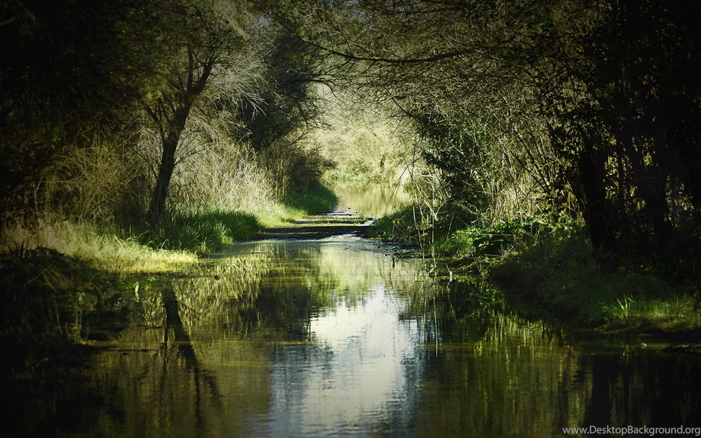 River Desktop