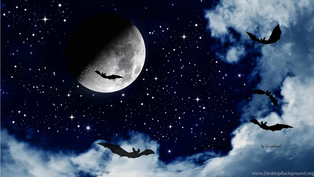 23 Halloween Night Sky Hd Desktop Backgrounds HD Wallpapers ...