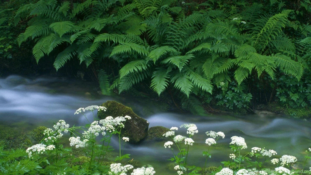 River HD Wallpapers, Waterscape Backgrounds