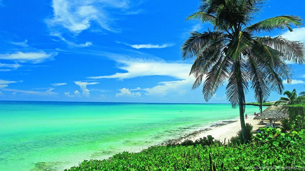Exotic Beach Wallpapers Latest Pictures