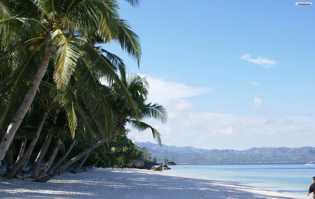 YouWall Exotic Beach Wallpapers Wallpaper,wallpapers,free ...