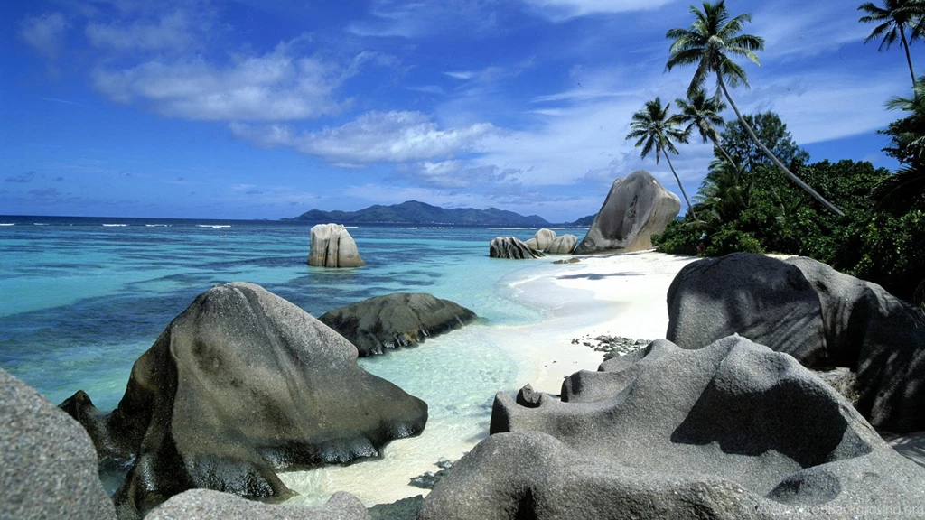 Exotic Beach