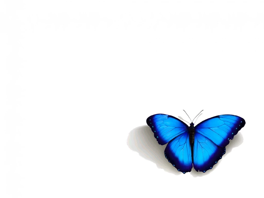 45 Stunning Butterfly Wallpapers Collection