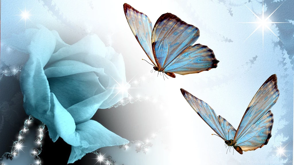 Wallpapers Butterflies Rose And Abstract Blue Butterfly 1920x1080 ...