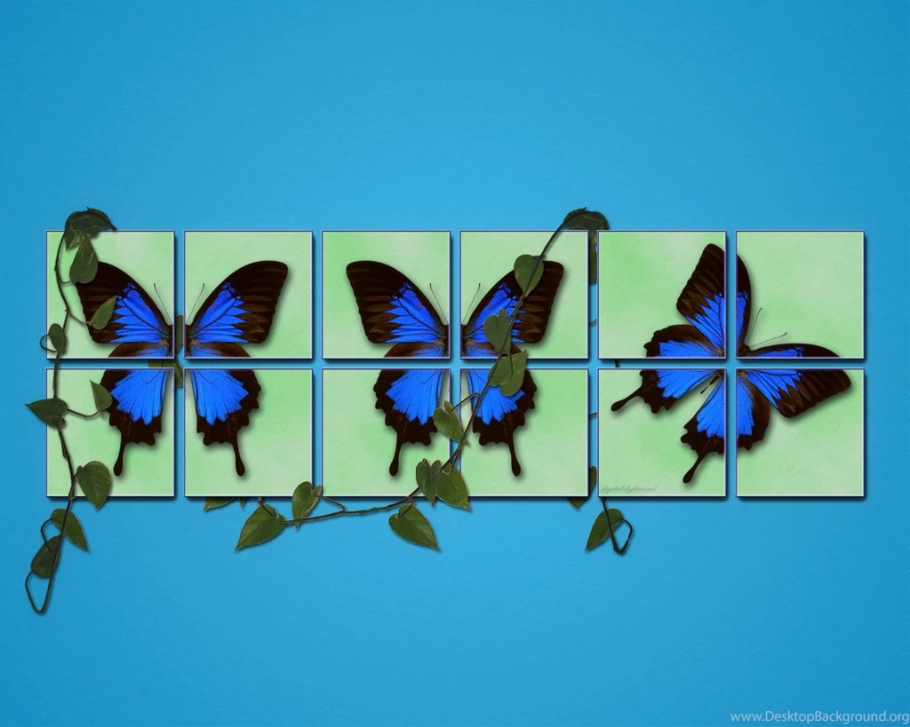 Butterfly Wallpapers Hd: Blue Butterfly Wallpapers