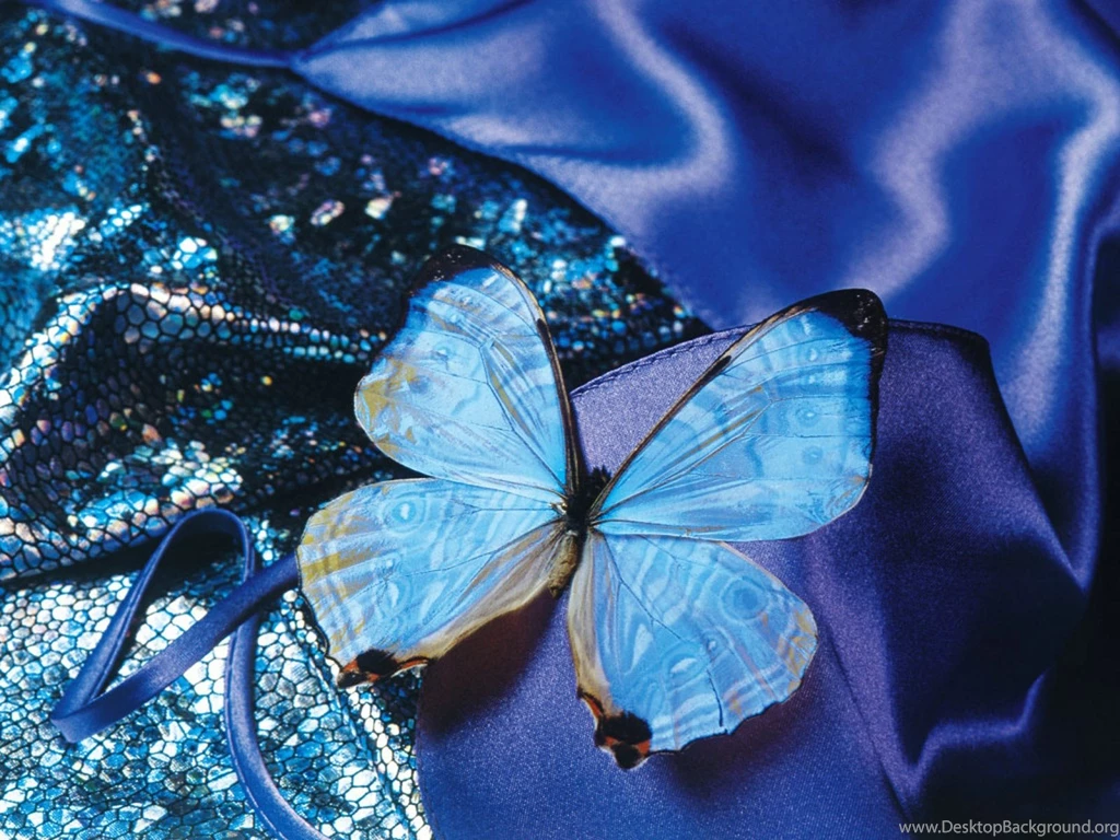Blue Butterfly Art Photos