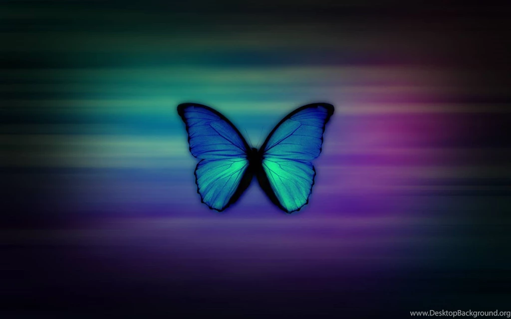 Butterfly Blue Morpho Wallpapers (