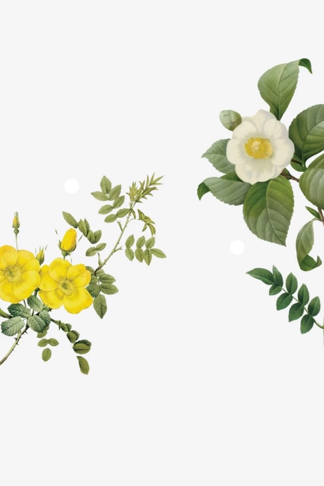 Wallpapers On Pinterest