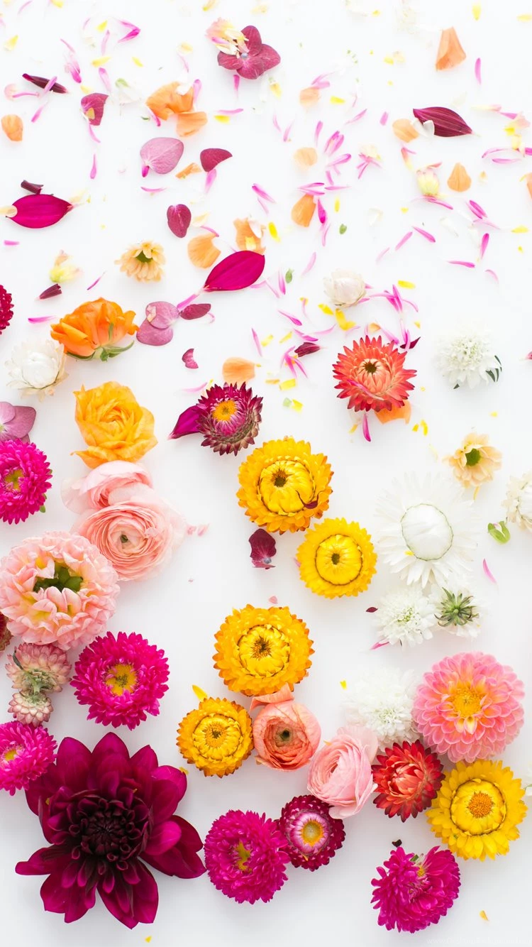 Our DIY Boutonniere Class With Creative Bug!