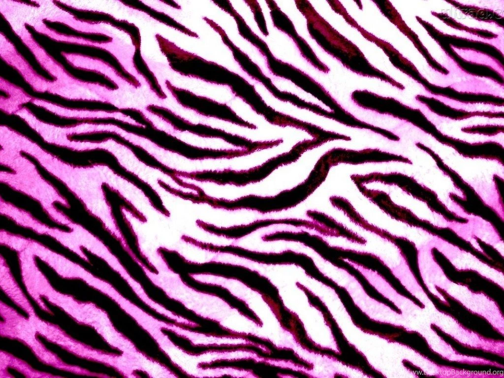 Pink Zebra Wallpapers For Android Picture Daily Update