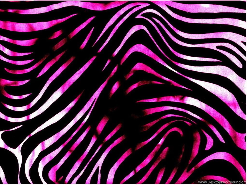 Pink And Black Zebra Wallpapers Wallpapers Zone