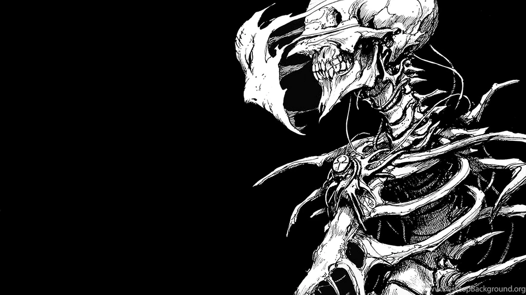 Skeleton Computer Wallpapers, Desktop Backgrounds