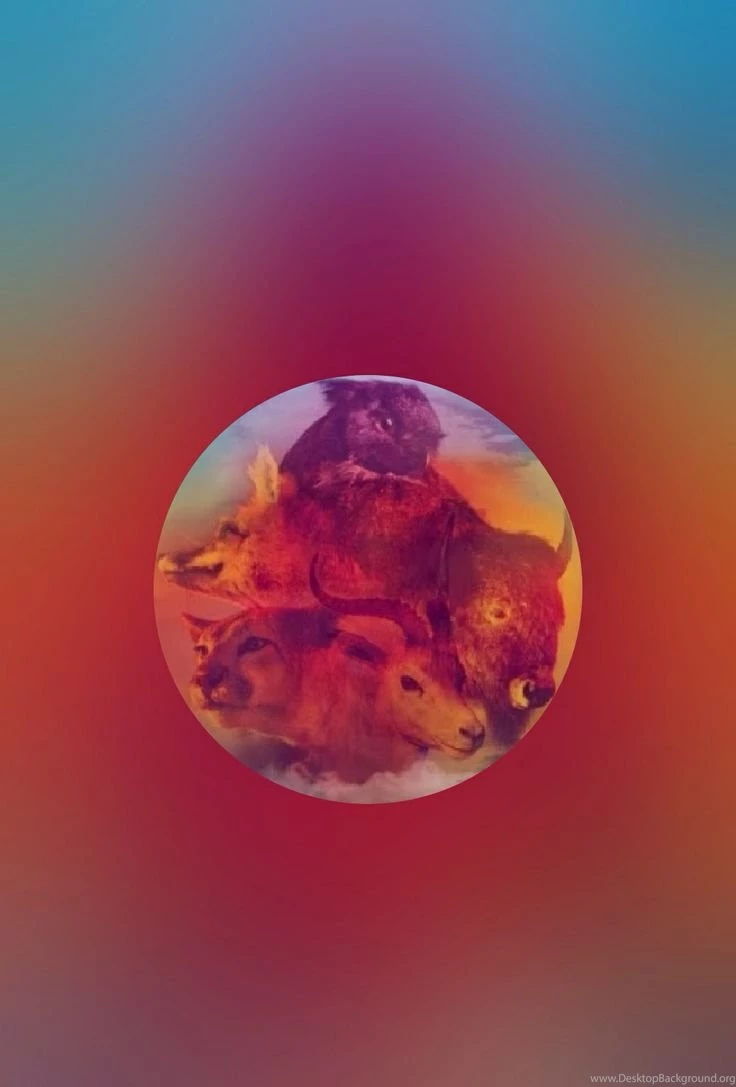 OneRepublic On Pinterest