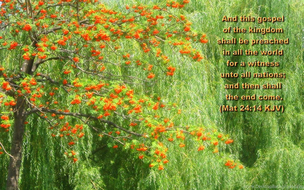 Favorite Scenic Bible Versed Wallpapers