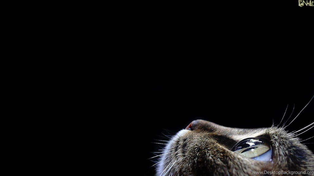 Black Wallpaper: Stunning Black Wallpapers For Your Desktop