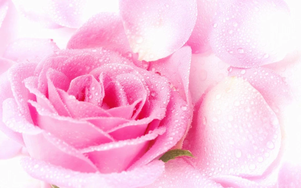 40 Cool Pink Wallpapers For Your Desktop