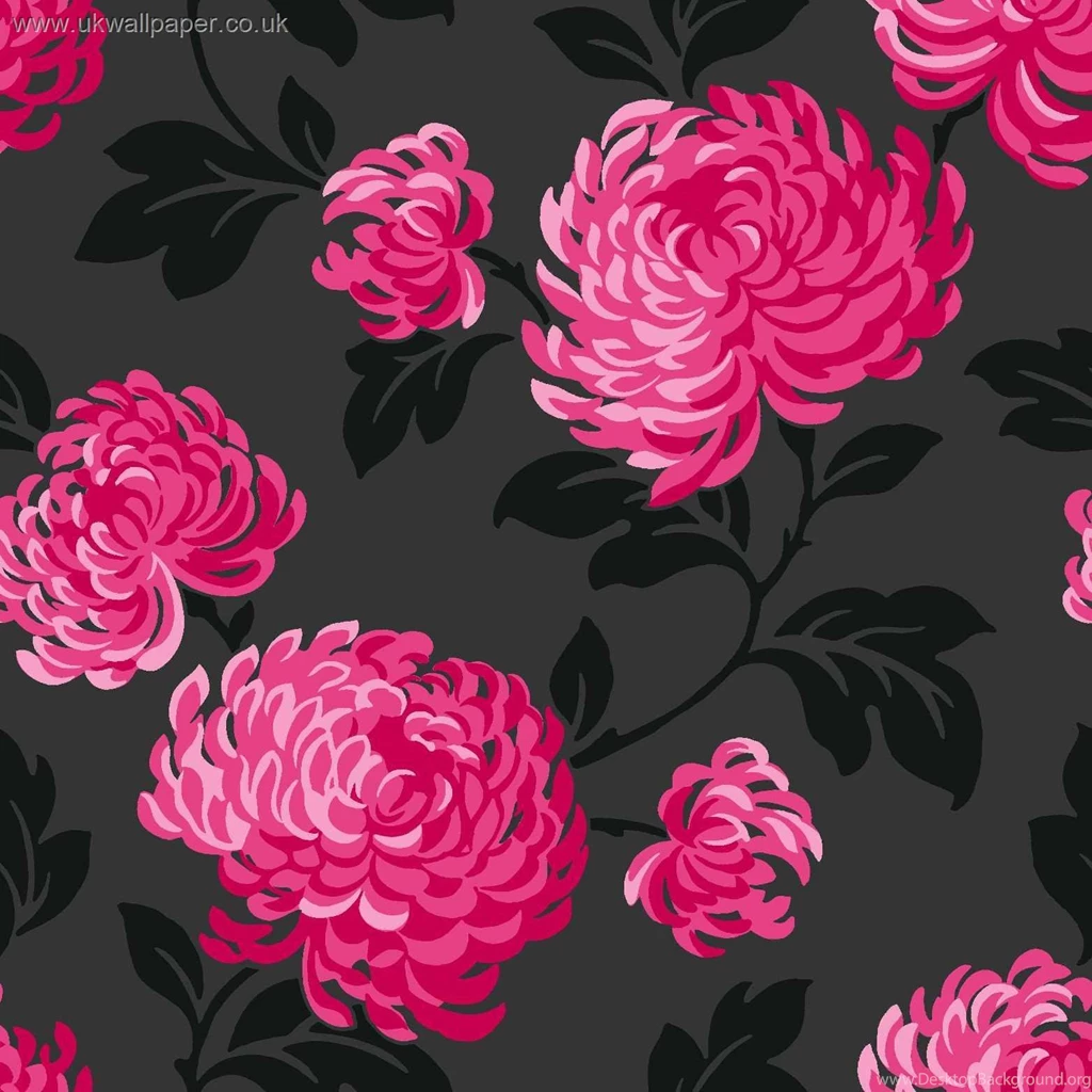 Pink And Black Wallpapers
