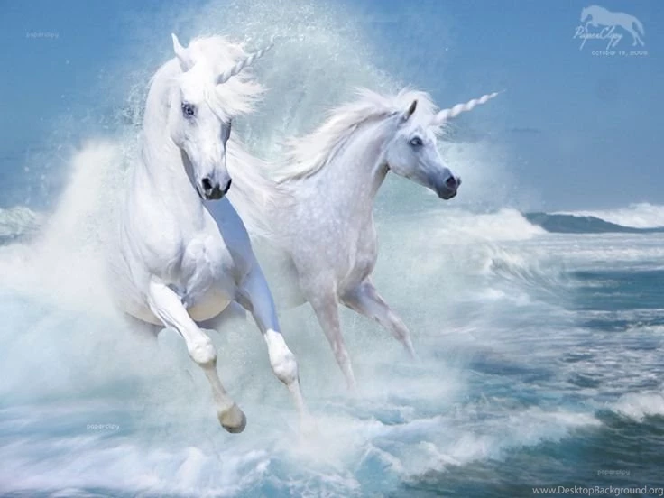 1000+ Images About Pegasus/unicorn Horse On Pinterest