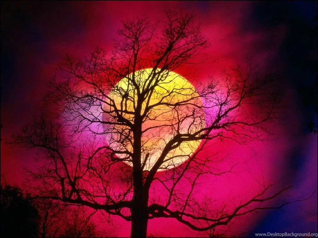Phone Wallpapers: Nature Widescreen Wallpapers Free Download
