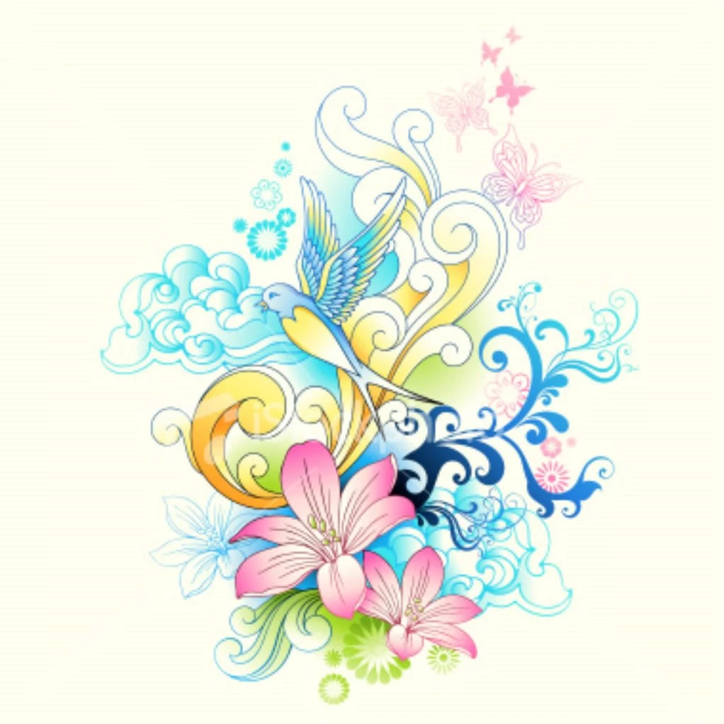 Bird Backgrounds Photo By Beckboog