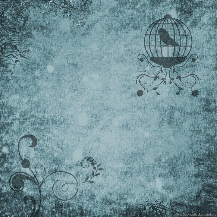Free Illustration: Bird, Cage, Blue, Backgrounds   Free Image On ...