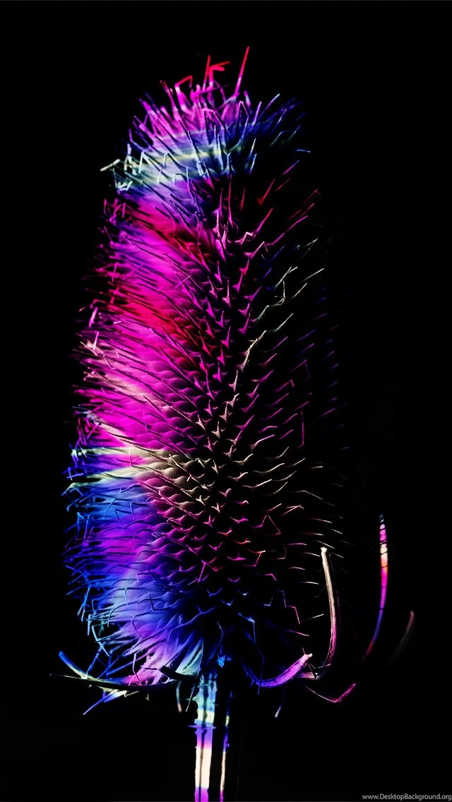 Electric Thistle iPhone 5 Wallpapers (640x1136)