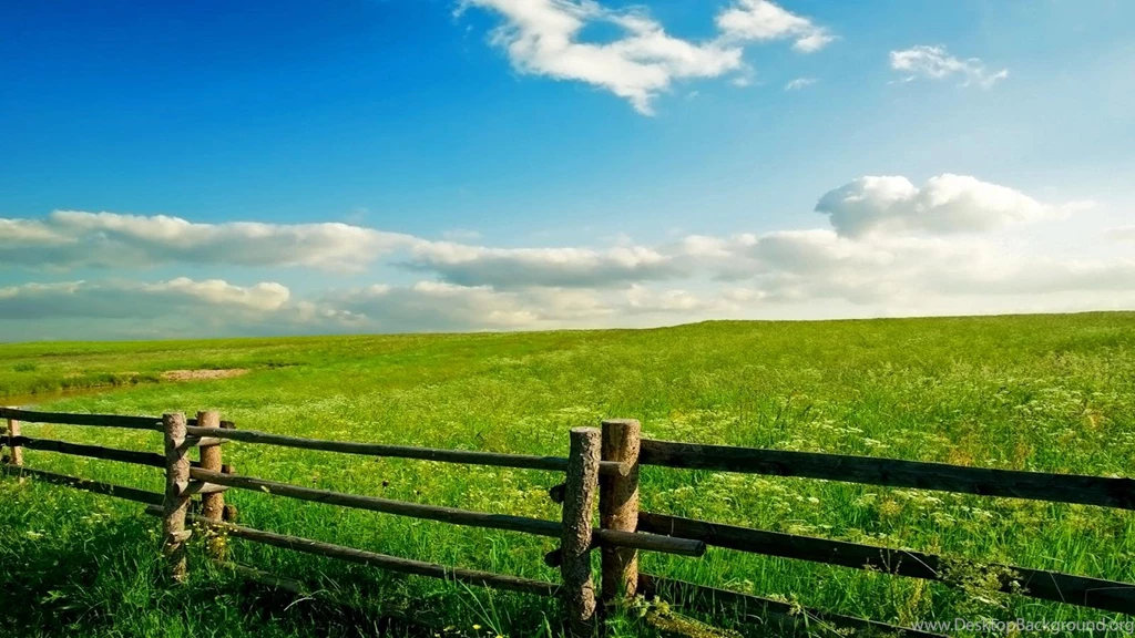 Spring Meadow Wallpapers Wallpapers Cave
