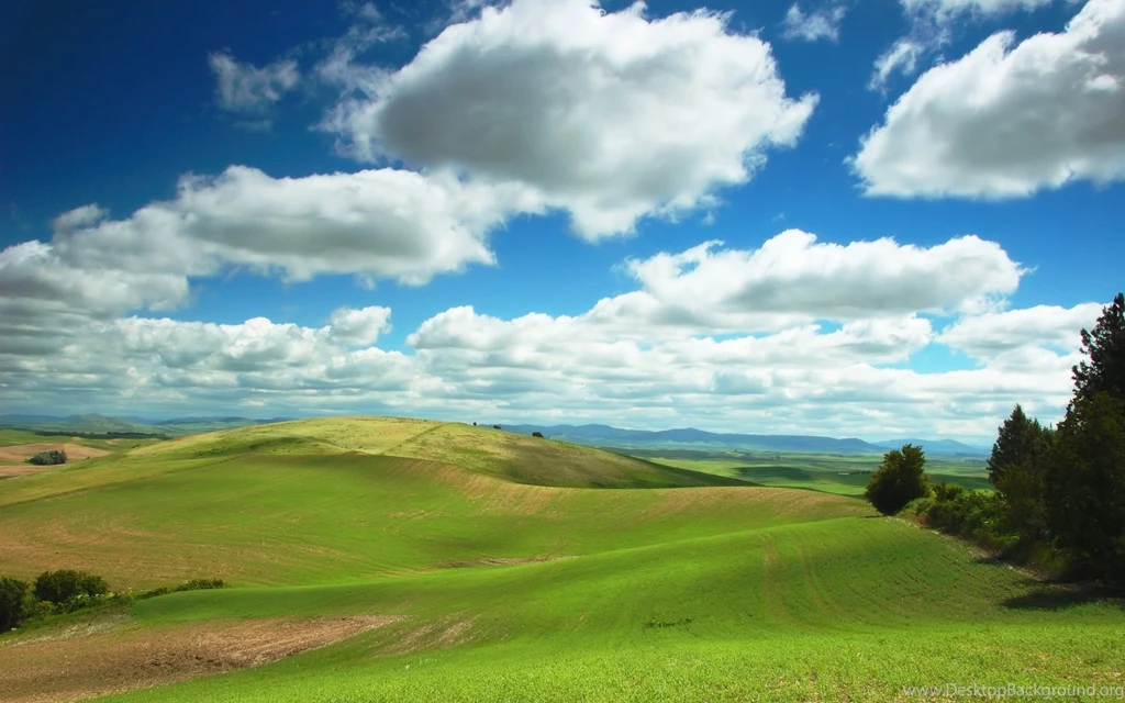 Computer Meadow Wallpapers, Desktop Backgrounds 1366x768px Id