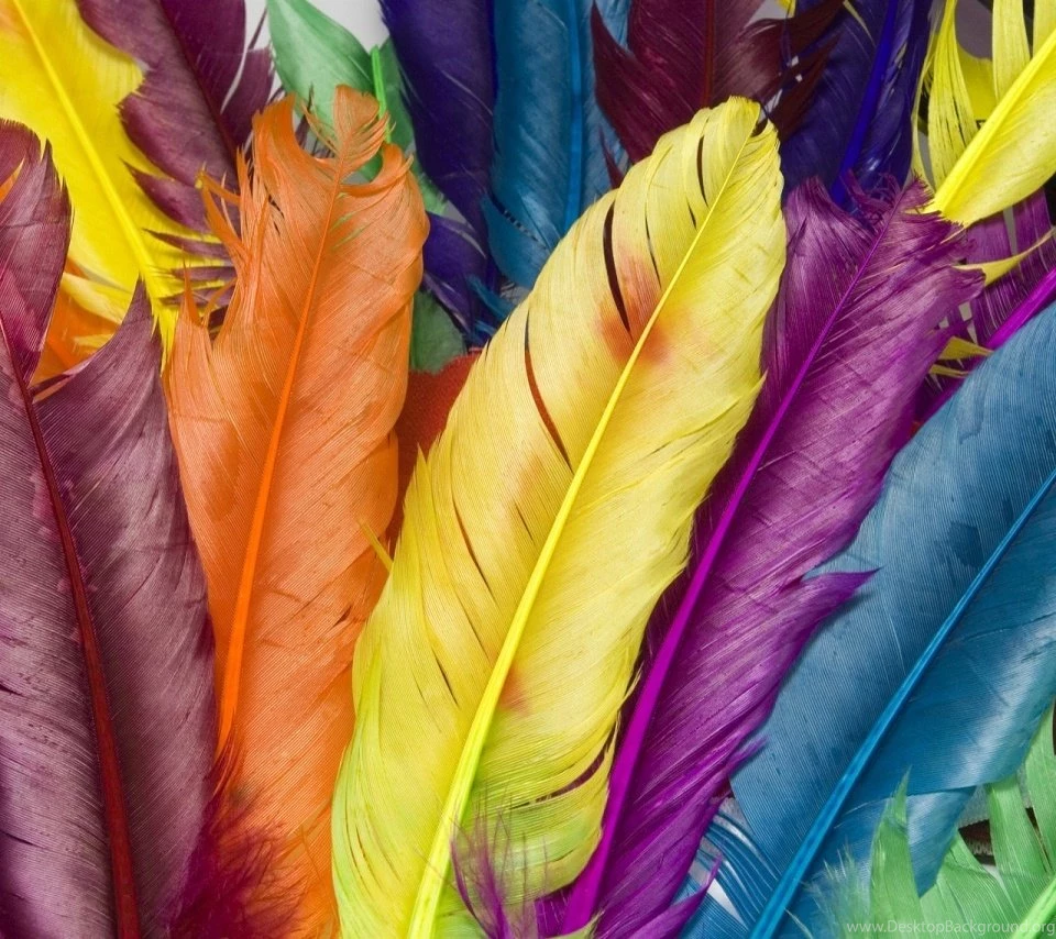 Android Wallpaper,Tab Wall,960x854,Phone Wallpapers 50_High ...