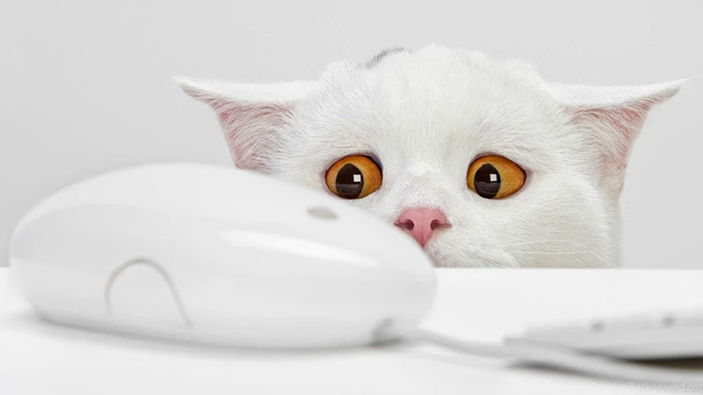 Creative Wallpapers HD Free Download