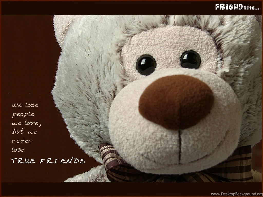 Download Wallpapers Free: Friendship Wallpapers For Desktop