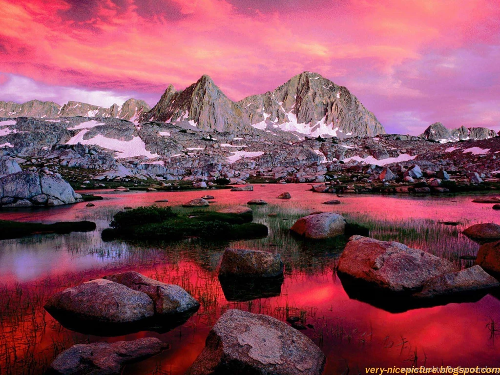 Nice Wallpapers, Animals, 3D, Nature Wallpapers: Nice Wallpapers ...