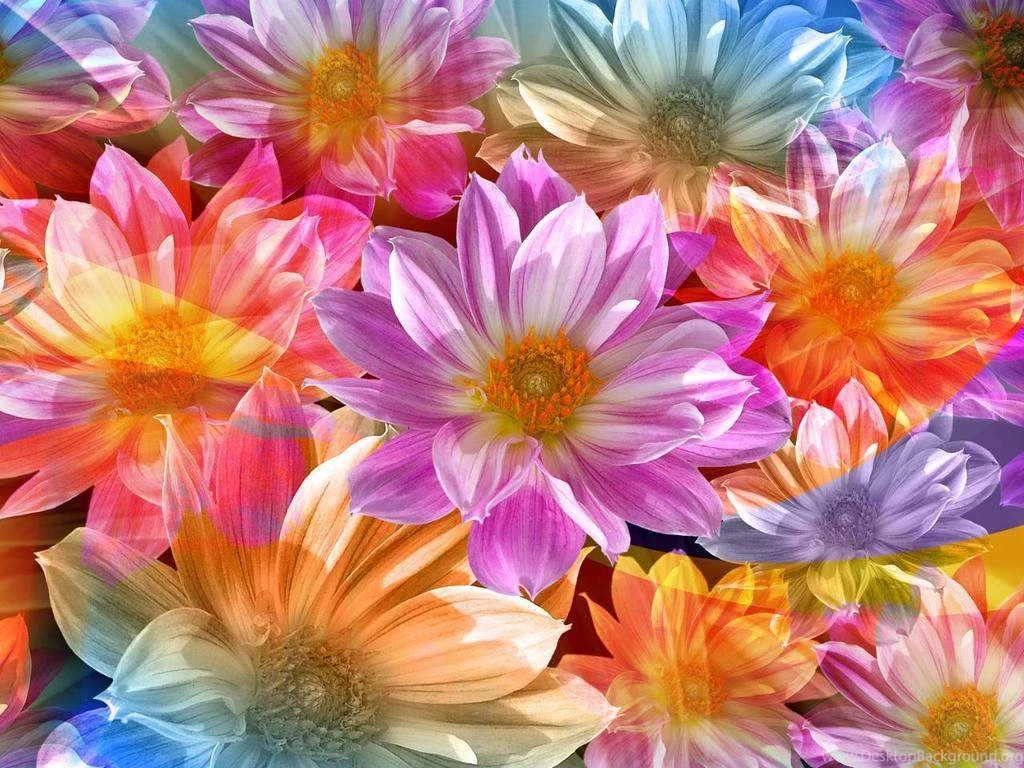 Marvelous Wallpapers