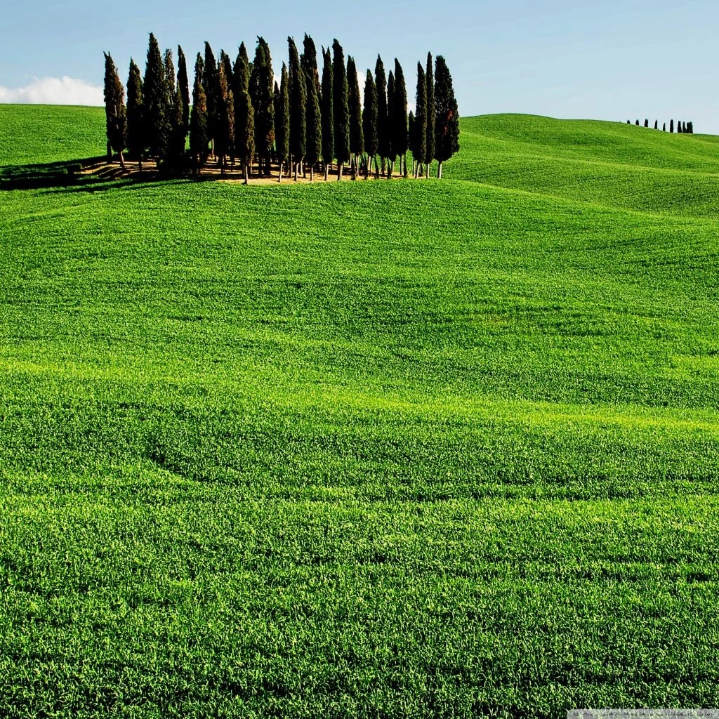 Cypress Hill Hd Desktop Wallpapers High Definition Fullscreen Desktop Background Cypress Hill Hd Desktop Wallpapers High Definition Fullscreen Desktop Background