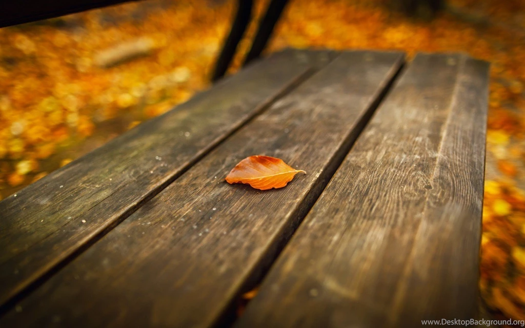 Free Fall Backgrounds   Wallpapers