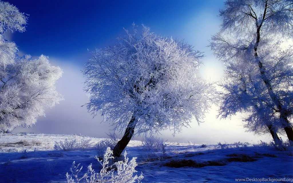 Snow Winter Wallpapers