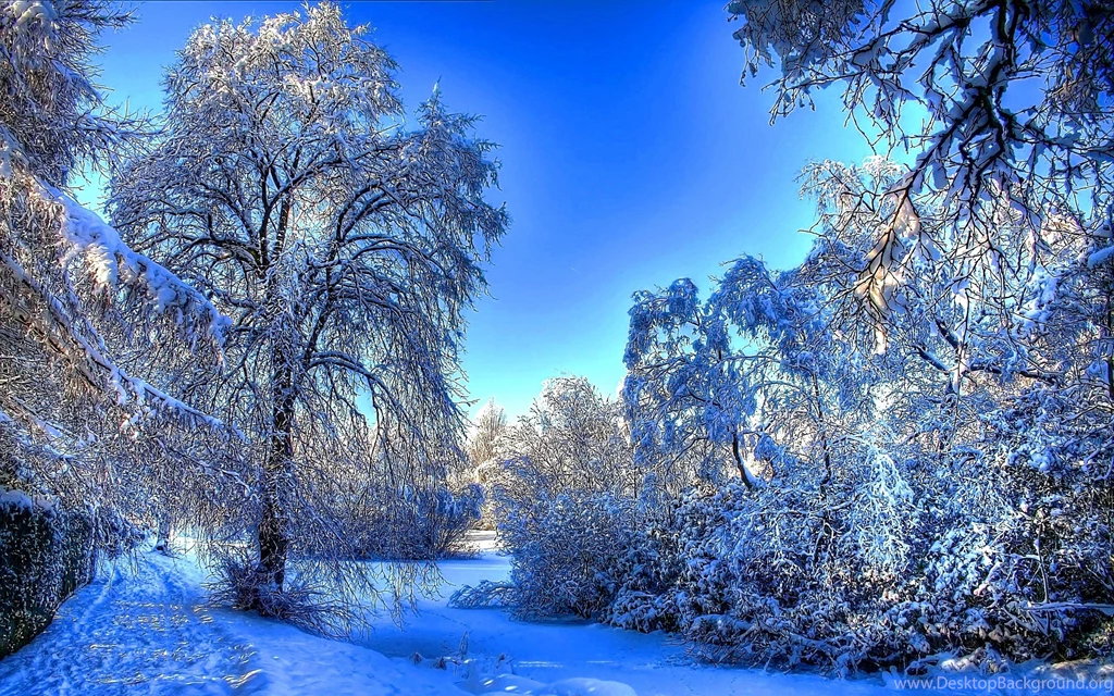 Winter Wallpapers 15
