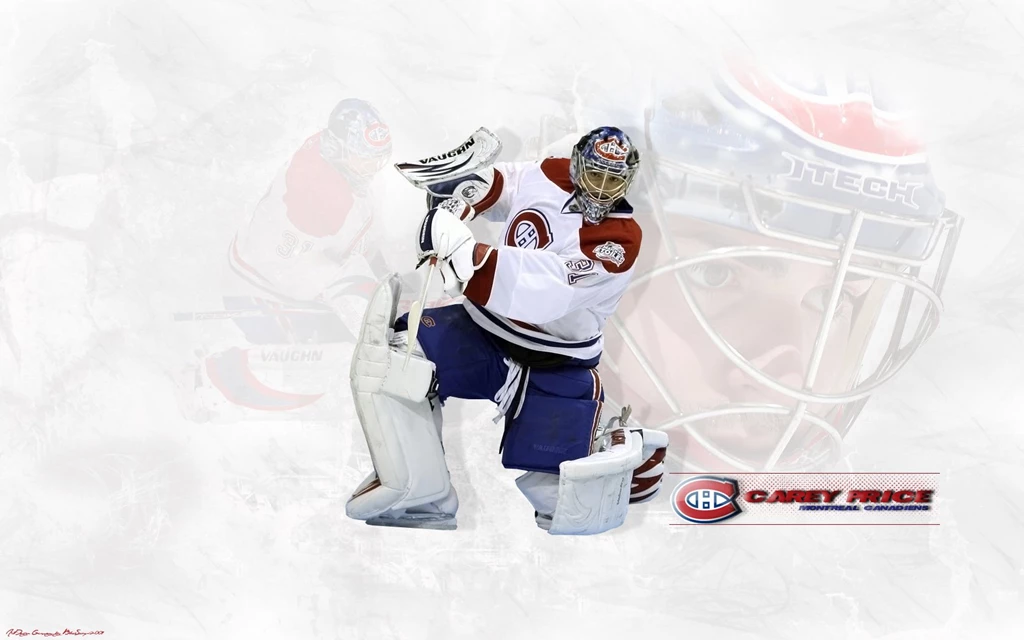 Wallpapers Price 2015   Grasscloth Wallpapers