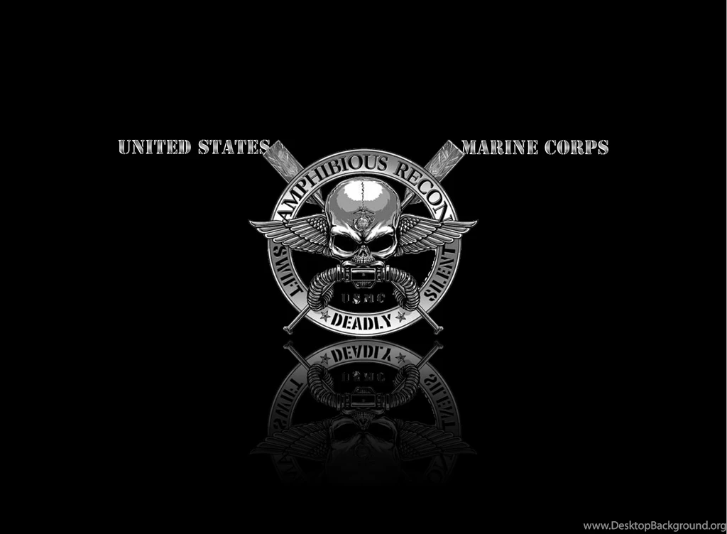 New Eagle Globe And Anchor Vector By SemperAndroid On DeviantArt