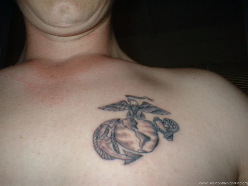 RePin Image: Eagle Globe And Anchor Pumpkin On Pinterest